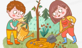 种树的漫画,植树造林，绿色家园的守护者